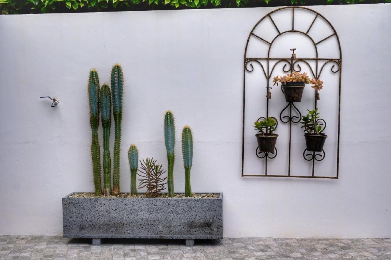 דירות פורנס Casa Pacheco מראה חיצוני תמונה